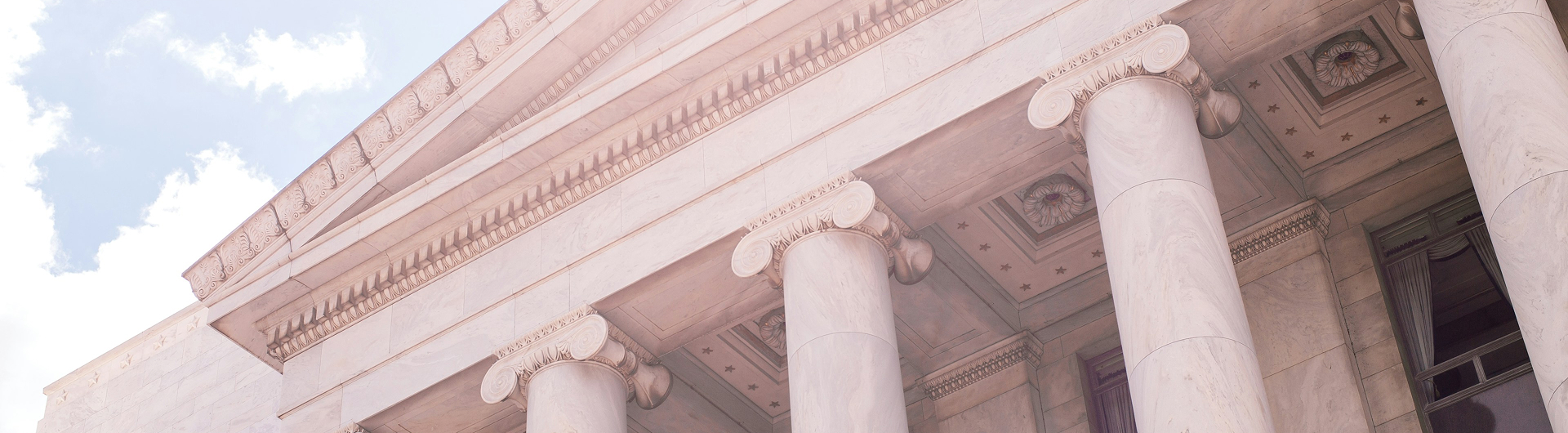 Master Executive in Public Policy and Political Strategy